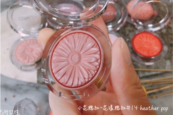 ٻ��������ô�� ٻ��С��������ȫϵ����ɫ